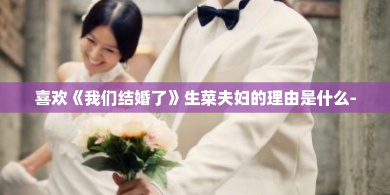 喜欢《我们结婚了》生菜夫妇的理由是什么-