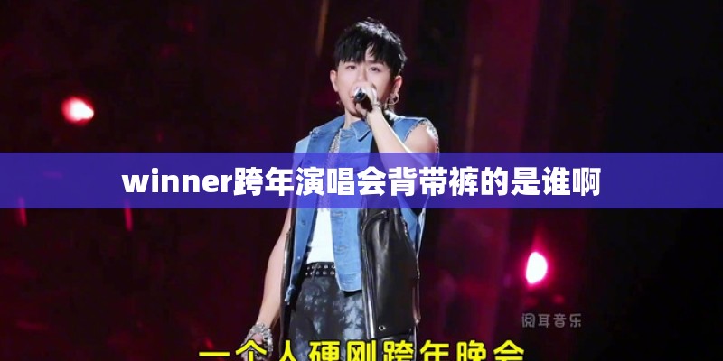 winner跨年演唱会背带裤的是谁啊