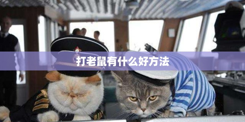 打老鼠有什么好方法 打老鼠有什么好方法