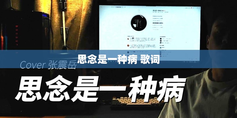 思念是一种病 歌词 思念是一种病 歌词