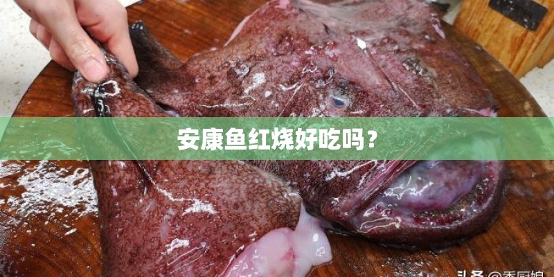 安康鱼红烧好吃吗？