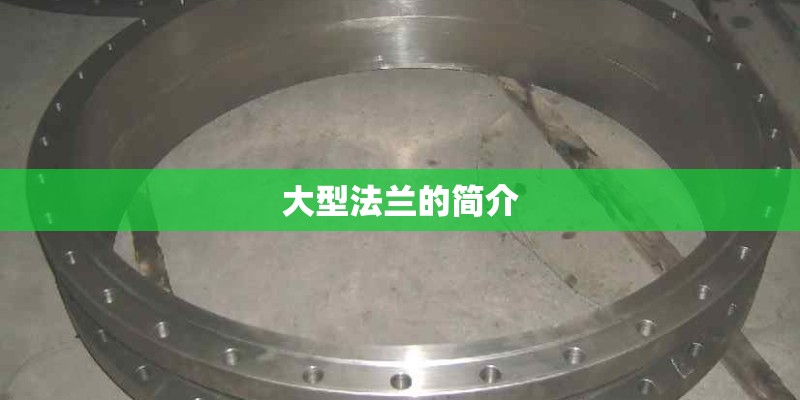 大型法兰的简介 大型法兰的简介