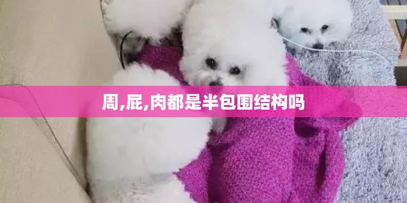 周,屁,肉都是半包围结构吗 周,屁,肉都是半包围结构吗