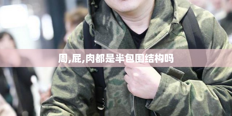 周,屁,肉都是半包围结构吗 周,屁,肉都是半包围结构吗