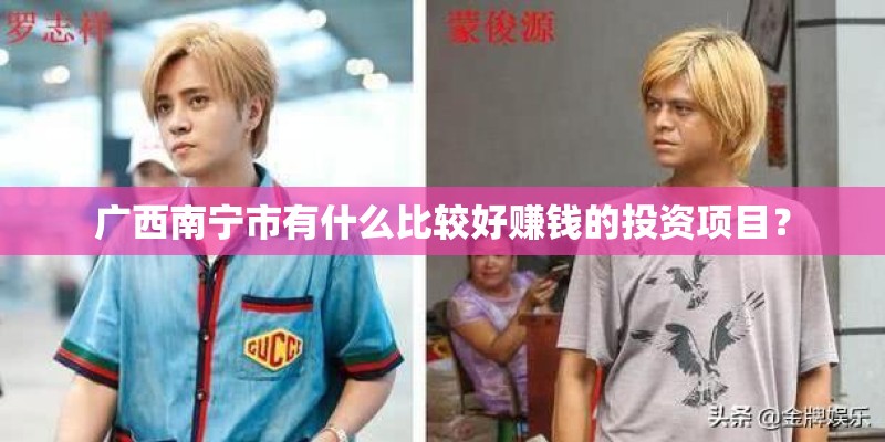 广西南宁市有什么比较好赚钱的投资项目？