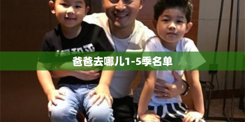 爸爸去哪儿1-5季名单
