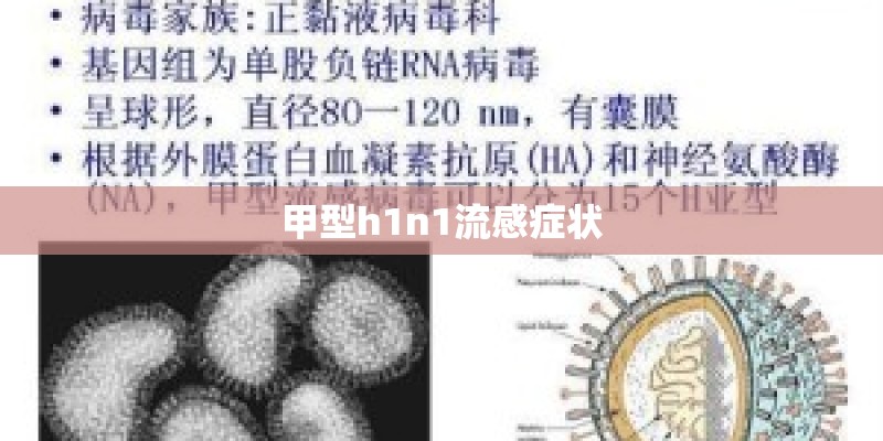 甲型h1n1流感症状 甲型h1n1流感症状