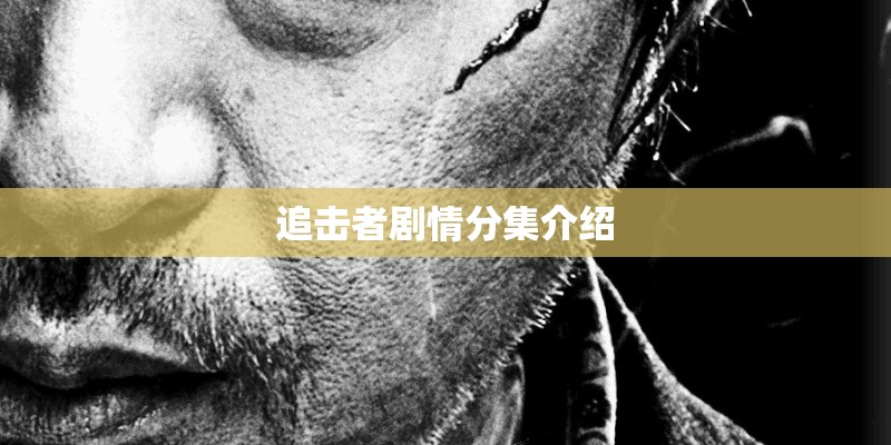 追击者剧情分集介绍