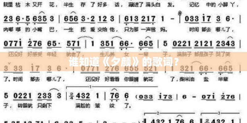 谁知道《夕颜》的歌词？