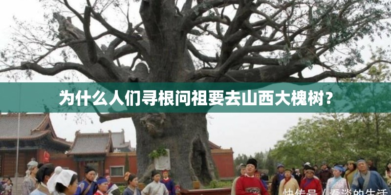 为什么人们寻根问祖要去山西大槐树？