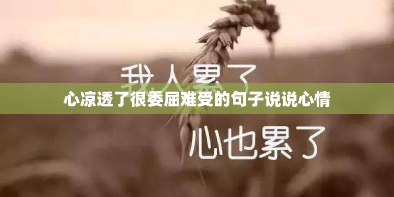 心凉透了很委屈难受的句子说说心情