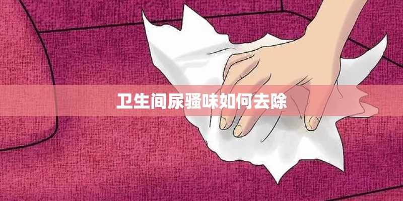 卫生间尿骚味如何去除 卫生间尿骚味如何去除
