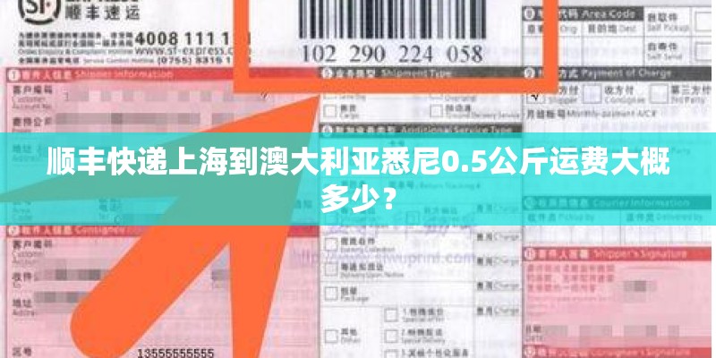 顺丰快递上海到澳大利亚悉尼0.5公斤运费大概多少? 顺丰快递上海到澳大利亚悉尼0.5公斤运费大概多少?