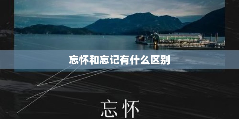 忘怀和忘记有什么区别