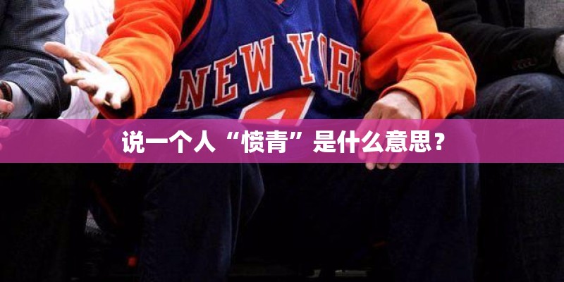 说一个人“愤青”是什么意思? 说一个人“愤青”是什么意思?