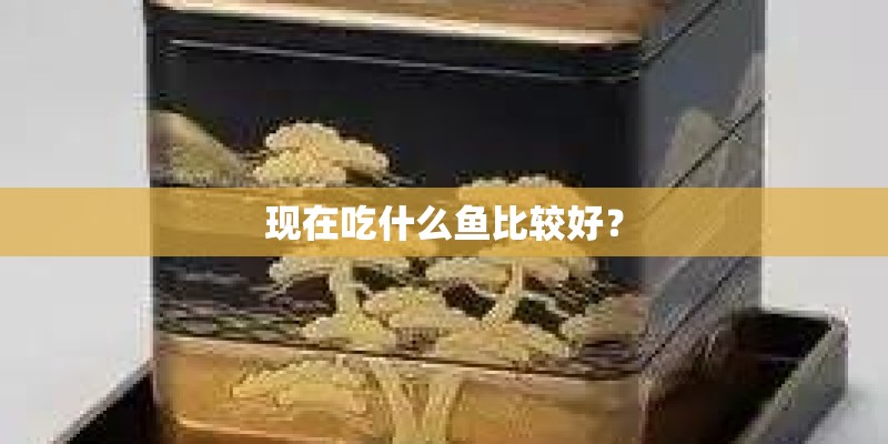 现在吃什么鱼比较好？