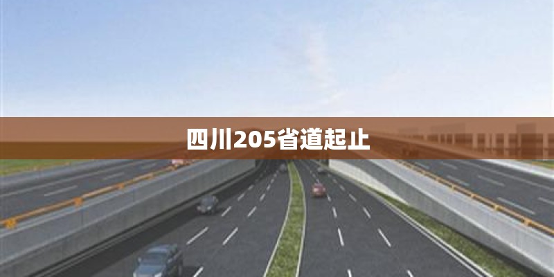 四川205省道起止 四川205省道起止