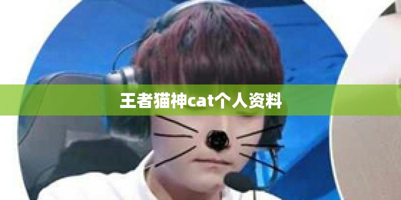 王者猫神cat个人资料