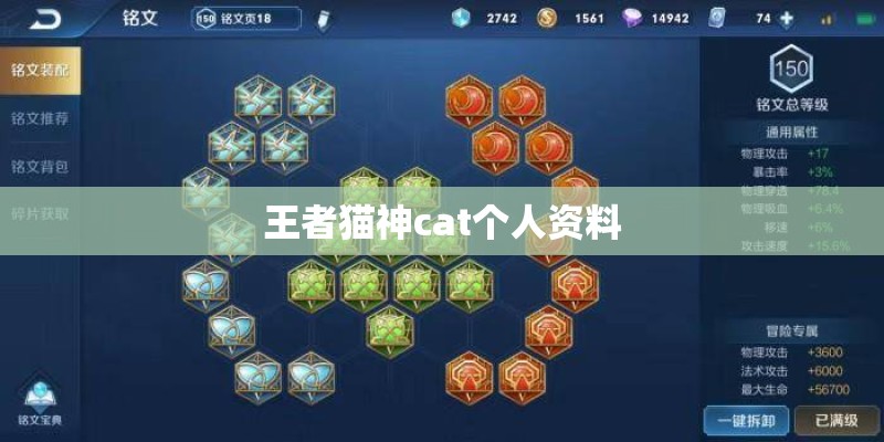 王者猫神cat个人资料 王者猫神cat个人资料