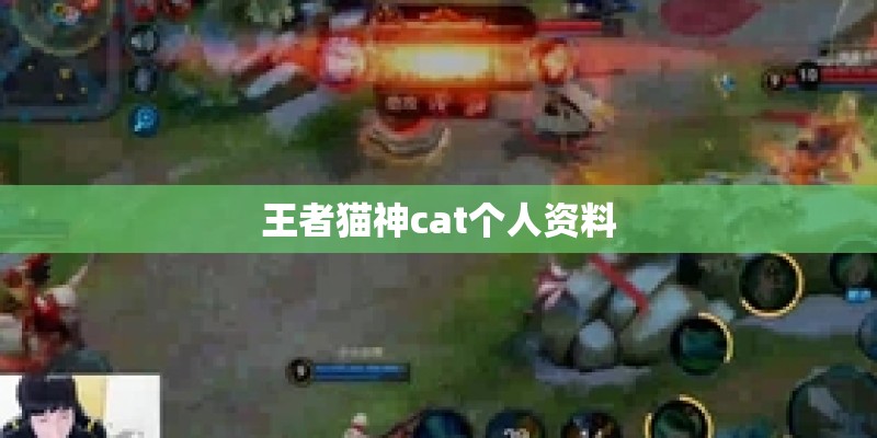 王者猫神cat个人资料 王者猫神cat个人资料