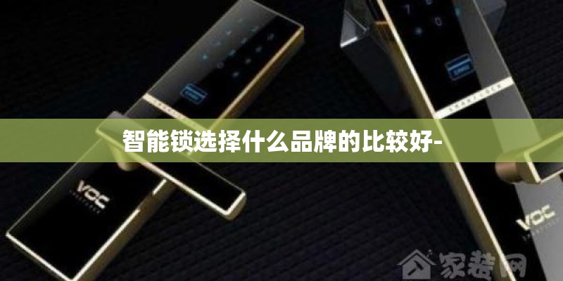 智能锁选择什么品牌的比较好-