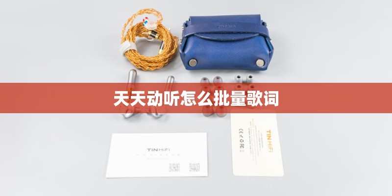 天天动听怎么批量歌词