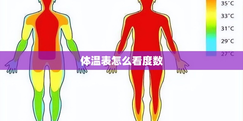 体温表怎么看度数