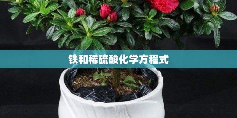 铁和稀硫酸化学方程式