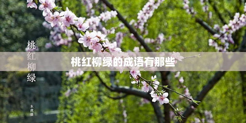 桃红柳绿的成语有那些 桃红柳绿的成语有那些