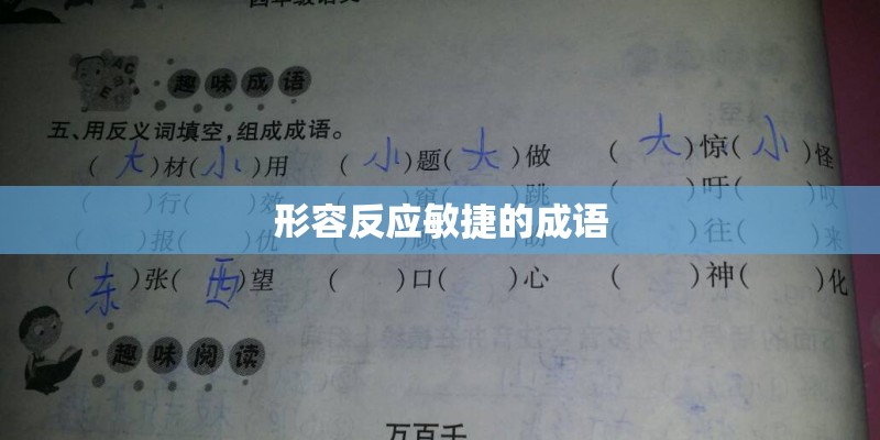 形容反应敏捷的成语