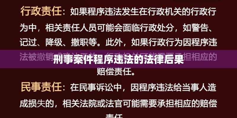 刑事案件程序违法的法律后果 刑事案件程序违法的法律后果