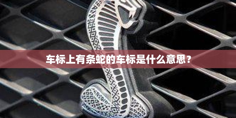 车标上有条蛇的车标是什么意思？