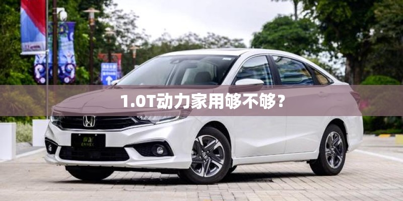 1.0T动力家用够不够？