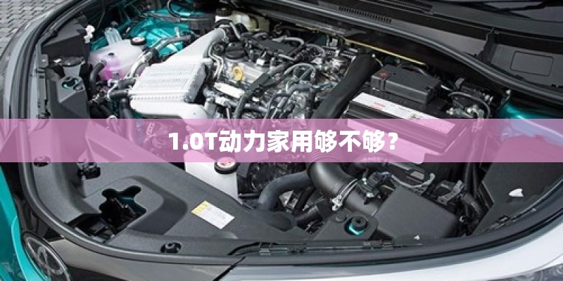 1.0T动力家用够不够？