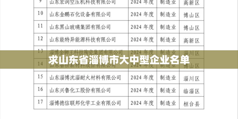 求山东省淄博市大中型企业名单 求山东省淄博市大中型企业名单