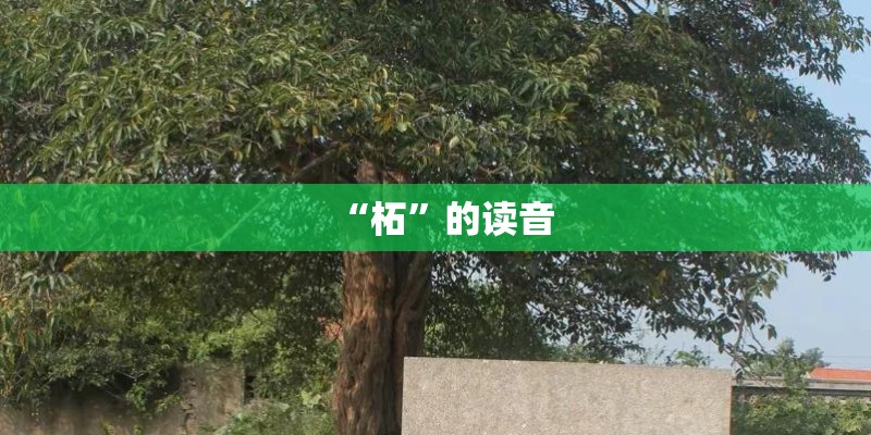 “柘”的读音