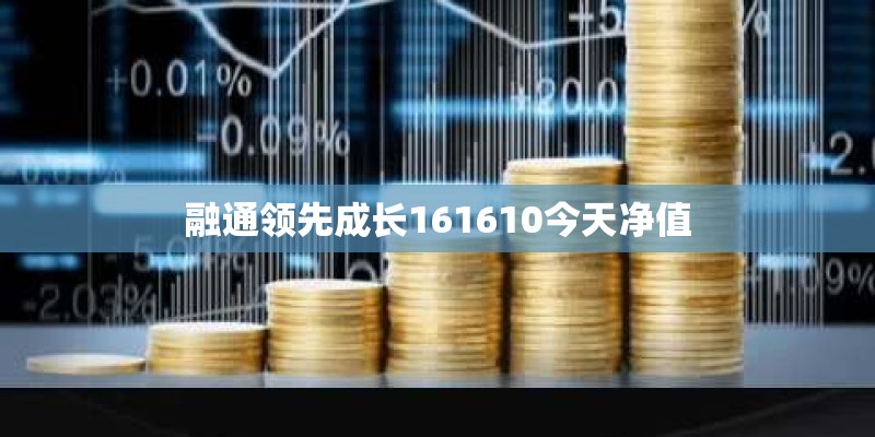 融通领先成长161610今天净值 融通领先成长161610今天净值