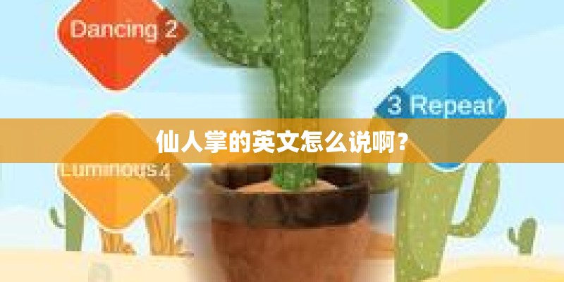 仙人掌的英文怎么说啊？