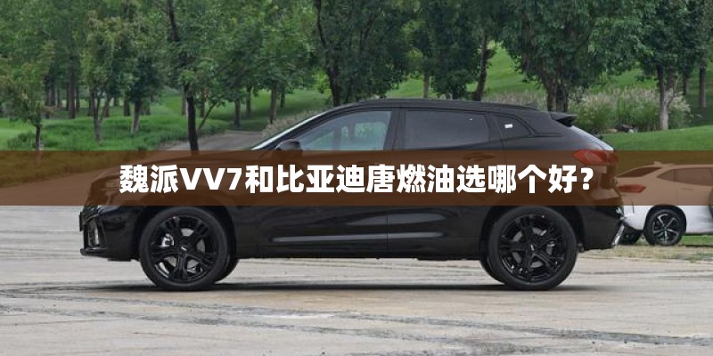 魏派VV7和比亚迪唐燃油选哪个好? 魏派VV7和比亚迪唐燃油选哪个好?