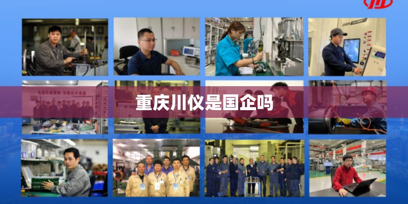 重庆川仪是国企吗