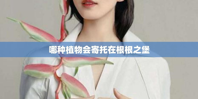 哪种植物会寄托在根根之堡