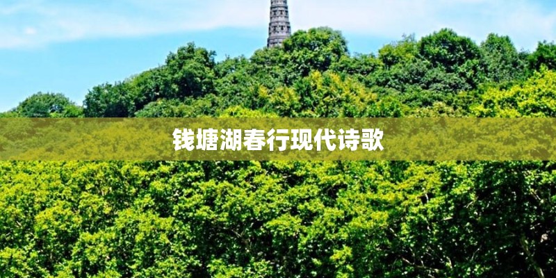 钱塘湖春行现代诗歌