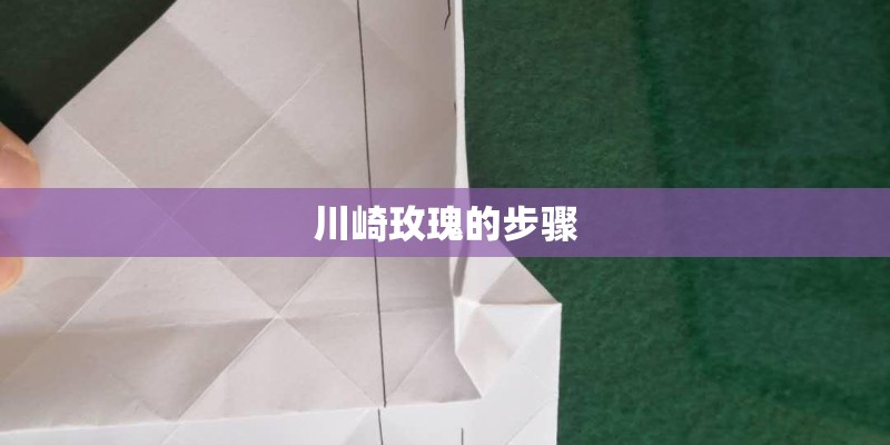 川崎玫瑰的步骤
