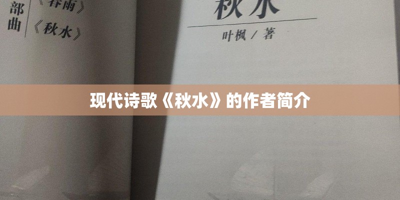 现代诗歌《秋水》的作者简介