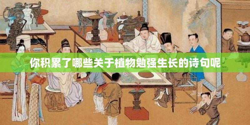 大班科学活动教案《种植》