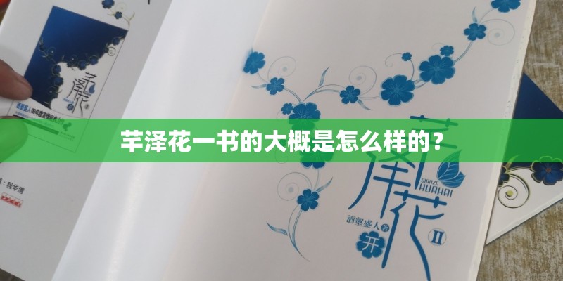 芊泽花一书的大概是怎么样的？