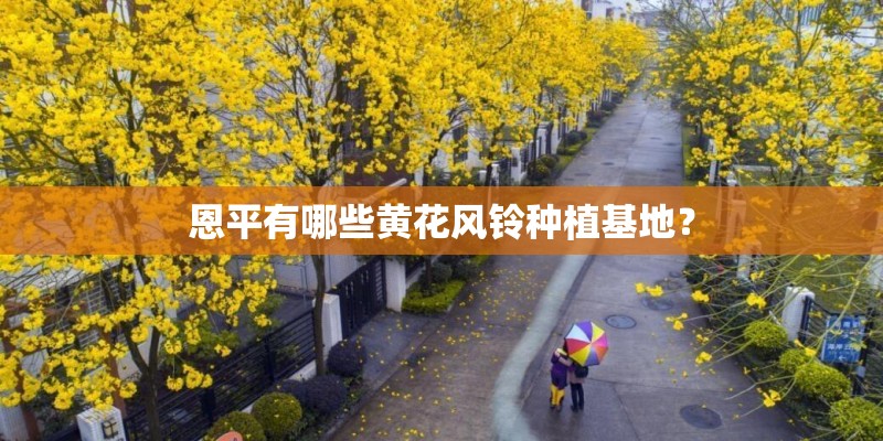 恩平有哪些黄花风铃种植基地？