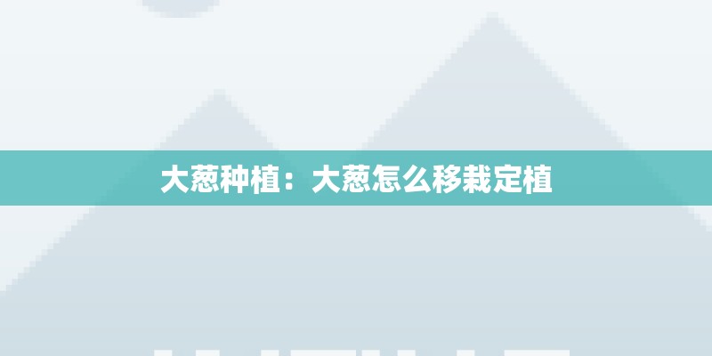 大葱种植：大葱怎么移栽定植