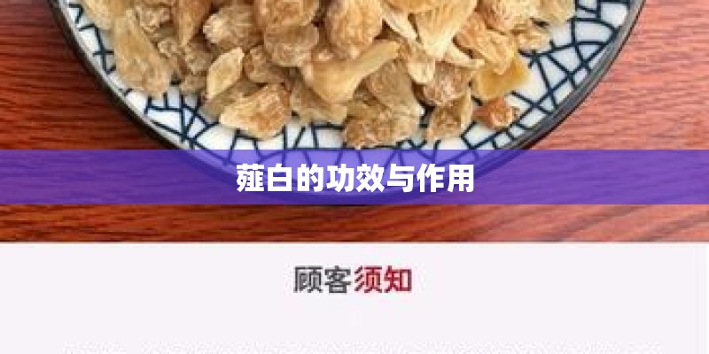 薤白的功效与作用