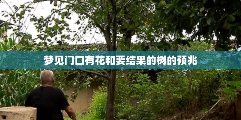梦见门口有花和要结果的树的预兆